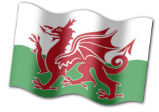 Welsh Flag